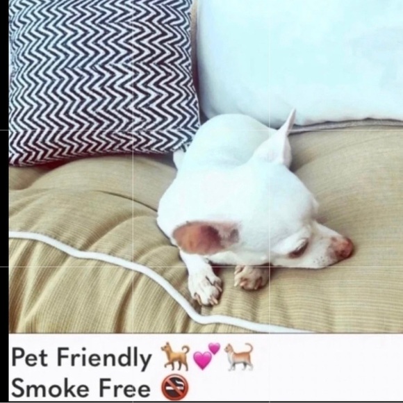 Wildfox Ugly Christmas Hoodie - EUC - Picture 7 of 9